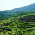 Gedong Songo – One of Central Java’s Best Kept Secrets