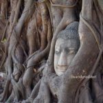 Ayutthaya Vs. Sukhothai – A Comparison of Two Ancient Ruins in Thailand