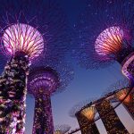 Ultimate Gardens by the Bay Guide – Cloud Forest, Flower Dome, Floral Fantasy, Supertrees & More