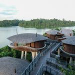 Food Review: Why Forage at Mandai Rainforest Resort is Singapore’s Most Enchanting Forest-to-Table Experience